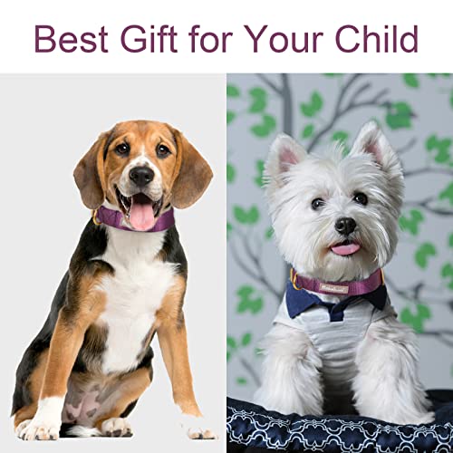 Nylon Dog Collar - Adjustable Deep Purple Soft Webbing Dog Collars for Small Medium Large Dogs Boy Girl Puppy Collar with Safety Metal Buckle XS - color: Nylon-Deep Purple, size: XS