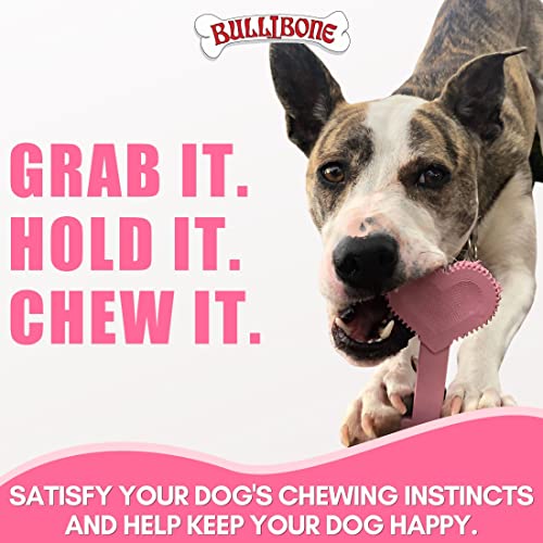Bullibone Nylon Dog Chew Toy for Aggressive Chewers - Dental Hygiene Bone with Peppermint Flavor, Durable Tough Chew Toys for Small Dogs, Indestructible Dog Bone - Single - size: Small - Single
