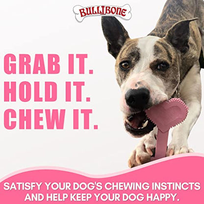 Bullibone Nylon Dog Chew Toy for Aggressive Chewers - Dental Hygiene Bone with Peppermint Flavor, Durable Tough Chew Toys for Small Dogs, Indestructible Dog Bone - Single - size: Small - Single
