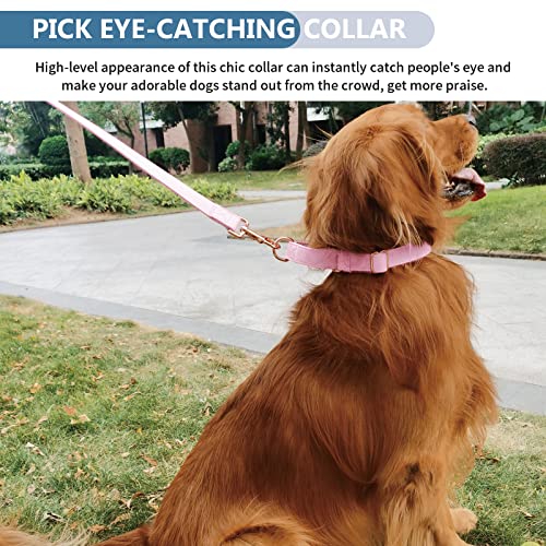 Soft Leather Martingale Dog Collar - Adjustable Rose Gold Limited Slip Collars [Easy to Clean], Stylish Durable Heavy Duty Nylon No Pull Training Collar for Small Medium Large Dogs XS Pink - color: Pink, size: XS (Neck 8"-11", Width 3/5")
