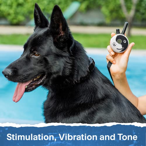 Educator ET-300 Zen Mini E Collar for Dog Training with Remote - 1/2 Mile Range, Waterproof, 100 Blunt Stimulation Levels, Tone or Vibration Mode, Night Light Tracking for Small, Medium & Large Dogs - size: 1-Dog (ET-300 ZEN)