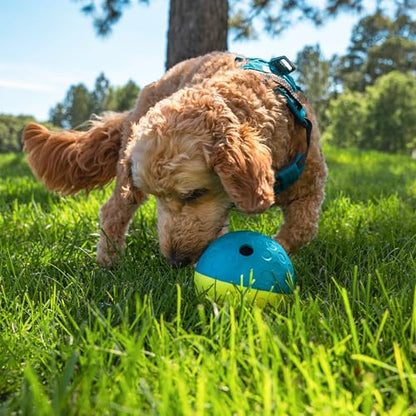 Outward Hound by Nina Ottosson Treat Tumble – Interactive Food-Dispensing Dog Puzzle Ball, Level 1 Beginner, Small, 4.8" - color: Treat Tumble (Small Blue)