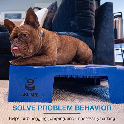 Blue-9 KLIMB Jr. Professionally Designed Dog Training Platform and DIY Guide for Behavior Basics, Made in The USA, Blue - color: Blue