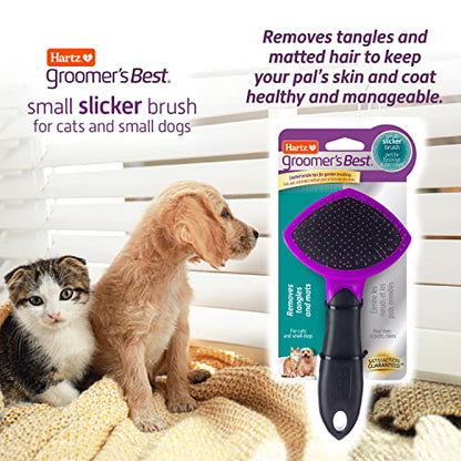 Hartz Groomer's Best Small Slicker Brush for Cats and Small Dogs, Black/Violet, 1 Count - size: 1 Count (Pack of 1), style: Small Slicker Brush
