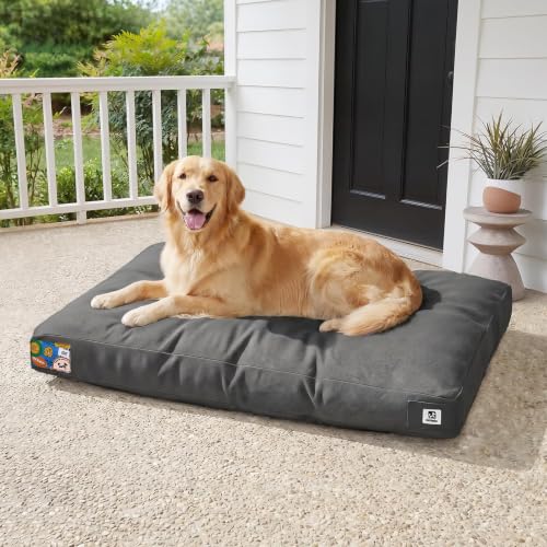 Sytopia 42 Inch Indestructible Canvas Outdoor Durable Dog Bed for Extra Large Dogs, Chew Proof Shredded Chopped Foam Patio Pet Pad for Crate with Waterproof Machine Washable Removable Cover, Dark Grey - color: Dark Grey, size: X-Large