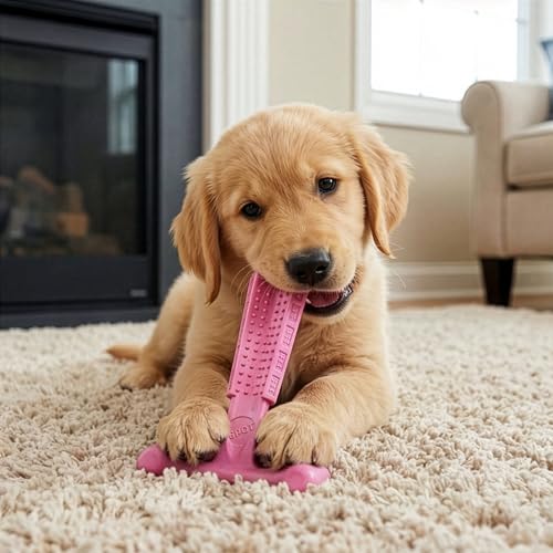SPOT Bam-Bones Puppy T-Bone Dog Chew Toys, Chicken Flavor, 4 Inch, 2 Pack, Bamboo Fiber & Flexible Rubber, Easy Grip Design for Gentle Chewers, Puppies & Small Dogs Up to 15 lbs
