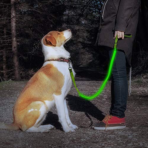 Candofly Glowing LED Dog Leash, Rechargeable Pet Leash with Lights, 4 Ft Light Up Dog Leash for Night Walking Keep Your Pets Visible (Neon Green) - color: Neon Green