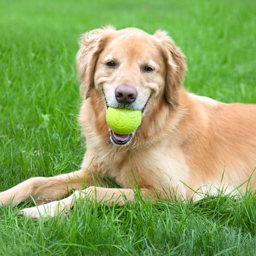 Chew King by Mammoth Glowing Fetch Ball, Dog Ball Toys, 3" Combo - color: G) 3-Pack (3" Balls)