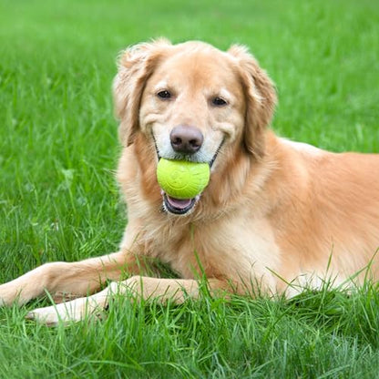 Chew King by Mammoth Glowing Fetch Ball, Dog Ball Toys, 3" Combo - color: G) 3-Pack (3" Balls)
