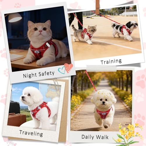 Gyuzh Small Dog Harness and Leash Set for Puppies - 3 Pieces Step in No Pull Vest & Collar, Extra Small Kitten Harness, Breathable Reflective Plaid, Padded Leash (Red, S) - color: Red, size: S