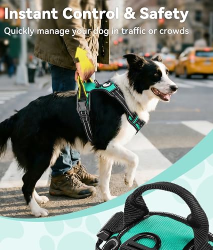 Joytale No Pull Dog Harness Medium Sized Dog, Reflective Pet Vest with Front Clip, Adjustable Soft Padded Harnesses with Easy Control Handle for Training and Walking, Teal, M - color: Teal, size: Medium