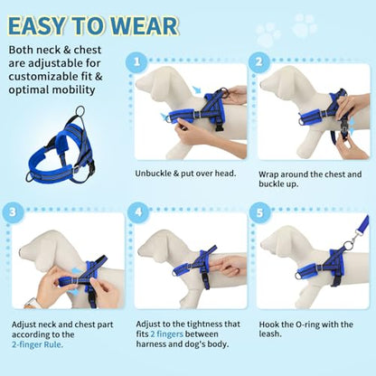 Lukovee No Pull Dog Harness and Leash Set, Soft Padded Small Dog Harness, Neck & Chest Adjustable Reflective Vest Puppy Harness with 4ft Lightweight Anti-Twist Dog Leash for Small Dogs (XS, Blue) - color: Blue, size: XS ( Chest 14'' ~ 18'')
