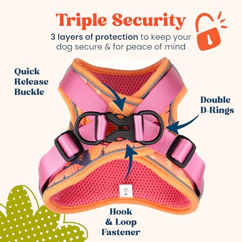 Step in Small Dog Harness and Puppy Harness – No Pull No Choke Reflective Mesh Vest with Front & Back Clips for Tiny XXS and Extra Small Dogs (Sierra Mountains, XXXS) - color: Sierra Mountains, size: XXXS