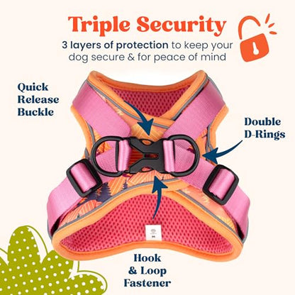 Step in Small Dog Harness and Puppy Harness – No Pull No Choke Reflective Mesh Vest with Front & Back Clips for Tiny XXS and Extra Small Dogs (Sierra Mountains, XXXS) - color: Sierra Mountains, size: XXXS
