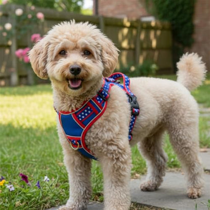 Small Dog Harness No Pull, Puppy Harness with 3 Quick Snap Buckles, Escape Proof Easy Walk Vest for Pug, Mini Schnauzer, Lightweight Tactical Pet Doggy Gear with Handle (S Size) - size: Small