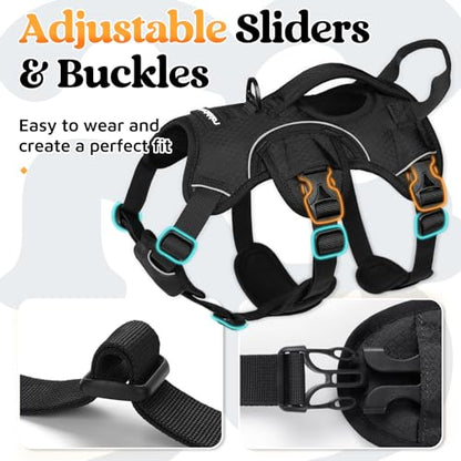 rabbitgoo Escape Proof Dog Harness, Soft Padded Full Body Pet Harness, Reflective Adjustable No Pull Vest with Lift Handle and Leash Clip for Large Dogs Walking Hiking Training, S, Black - color: Black, size: Small (Pack of 1)