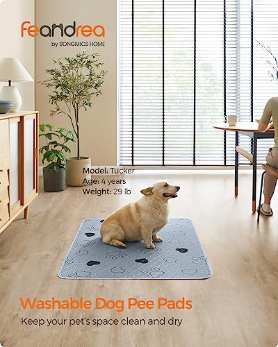 Feandrea Washable Dog Pee Pads, 2 Pack, Reusable, 48 x 36 Inches, XL, Waterproof Pet Training, Leakproof, Non-Slip, Super Absorbent, Gray UPTD036G01 - size: XL (48"L x 36"W)
