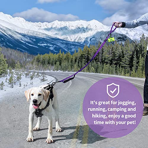 IOKHEIRA Multifunctional Dog Leash for Large and Medium Dogs - Adjustable With Car Seatbelt, 4-6 FT Strong Bungee, Purple - color: Purple