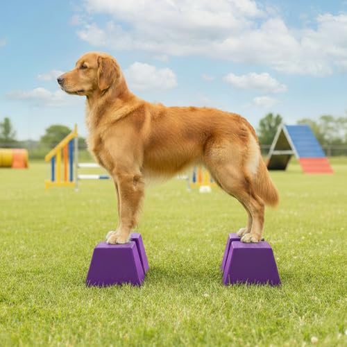 Stacking Blocks for Dog Shows, Professional Dog Stacking Training Platform, Show Ring Feet Position Trainer, Non Slip Stable Base, Breed Stance Support (Purple) - color: Purple