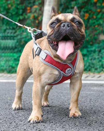 Puppy Harness and Leash Set,No Pull Adjustable Step in Soft Mesh Vest Harness,Easy Walk Reflective Pet Harness with Padded Handle for Walking Training Small Medium Large Dogs and Cats (Red, XS) - color: Red, size: XS