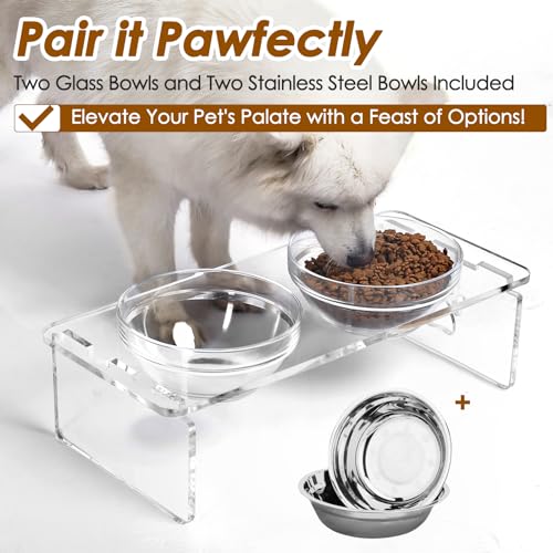 Elevated Dog Bowls for Medium Dogs – 5.5” Acrylic Raised Pet Feeder Stand with 2 Stainless Steel & 2 Glass Removable Bowls – Food & Water Dish Set - size: Medium Dogs-5.5" Height