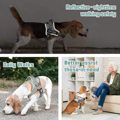 AUROTH Dog Harness and Leash Set, Soft Padded Service Dog Vest with 5.25FT Dog Leash, No Choke, Easy On Pet Vest, Adjustable Reflective No Pull Pet Vest Medium Sized Dog, Easy Walking and Training - color: Macaron Blue, size: Medium