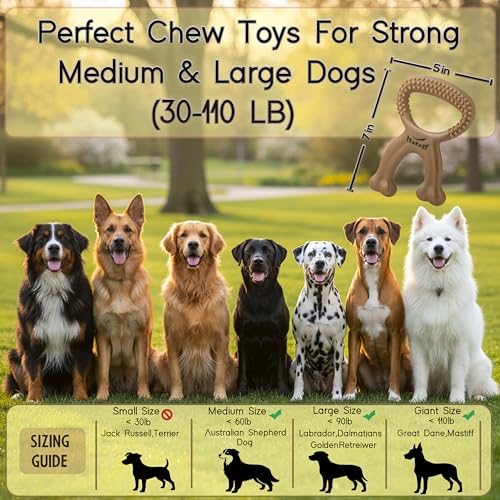 Chew Buddy – Durable Natural Rubber Dog Chew Toy for Medium & Large Dogs (30–110 lb) – Eco-Friendly, Teeth Cleaning, Tough Toy for Strong Chewers, for Dogs