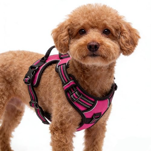 Hot Pink No-Pull Dog Harness with 2 Leash Clips，Soft Padded Vest for Small Dog, Adjustable Reflective Dog Vest Easy to Put on and Take Off,(Neck: 13"~17", Chest: 17"~21",Hot Pink Small) - color: Hot Pink, size: Small