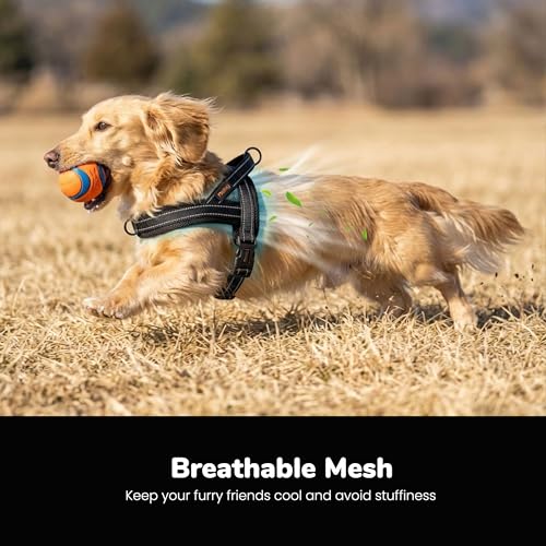 Didog No Pull Dog Harness with Breathable Mesh Padded,Reflective & Quick Fit Light Weight Dog Strap Vest Harness,Easy for Walking Training (XS:Chest 15-18", Mesh-Black) - color: Black, size: XS: Chest 15-18", Fit 9-18 lbs