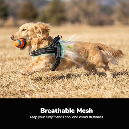 Didog No Pull Dog Harness with Breathable Mesh Padded,Reflective & Quick Fit Light Weight Dog Strap Vest Harness,Easy for Walking Training (XS:Chest 15-18", Mesh-Black) - color: Black, size: XS: Chest 15-18", Fit 9-18 lbs