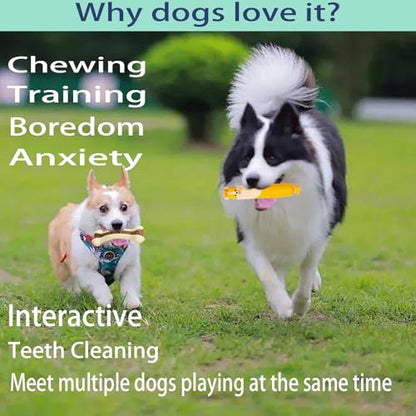 Dog Bone Chew+SqueakyToys for Aggressive Chewers, 2 Pack Real Beef Flavor+1Pack Latex Funny Interactive Toys , Indestructible Teething Toys for Medium/Large/Small Breed, Toy With Durable Nylon - size: RB beef Flavor 3 PCS