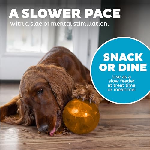 Outward Hound Orbee-Tuff Mazee Interactive Dog Puzzle Toy, Treat Dispensing Slow Feeder Ball, Orange, 4.7-Inch - color: Orange