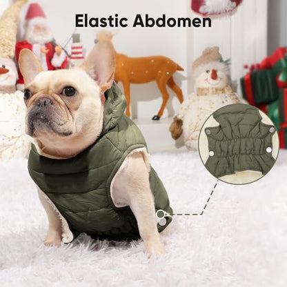Vecomfy Fleece Lining Dog Hoodie with Harness Built in,Extra Warm Small Dog Jacket in Winter Puppy Coats with Drawstring Hooded,Green XS - color: Green(Harness Built in), size: X-Small (Pack of 1)