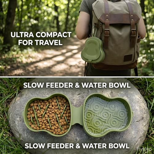 Collapsible Dog Travel Bowl with Lid, Portable Slow Feeder & Lick Mat Combo, Mess-Free Clamshell Silicone Water Dish for Hiking (Green) - color: green