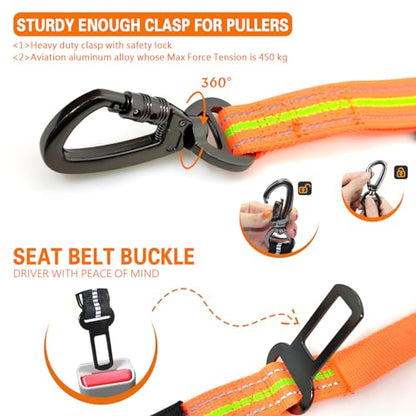 Heavy Duty Dog Leash and LED Light Set, LED Light with Nylon Stickers, Universal Glowing Accessories Easy to Attach Collar Leash and Harness, Safety LED Light Up Band for Dogs at Night Walking - color: Coyote Brown