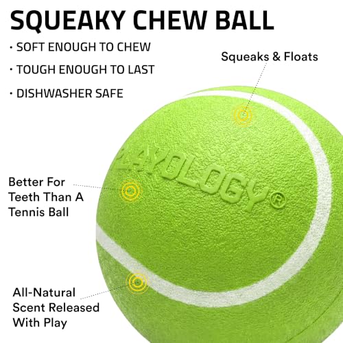 Playology Dog Toys | Squeaky Chew Ball for Large Dogs | Sweet Potato Scented Jumbo Dog Ball | Bouncy Floating Chew Toys for Fetch - size: Jumbo, style: Sweet Potato