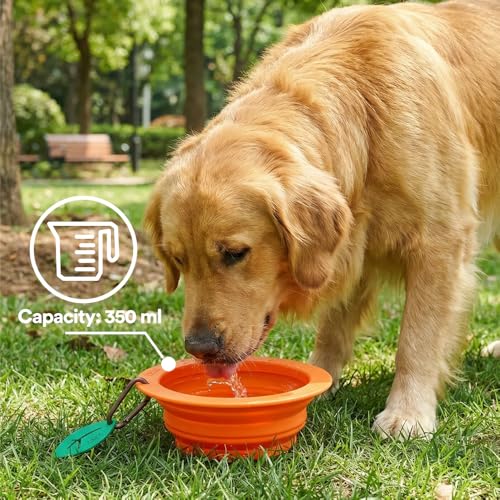 Collapsible Silicone Dog Bowl (Orange) - color: Orange