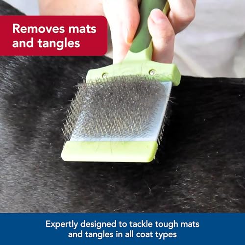 Coastal Pet Safari Dog Flexible Slicker Brush - Dog Brush for Shedding - Undercoat Rake & Grooming Tools for Small & Medium Pets - Medium - size: Medium