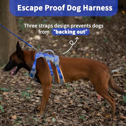 Huntboo Reflective Dog Harness with Handle, Escape Proof, No Slip, Breathable, Lightweight, Adjustable Lift Harness for Small, Medium, and Large Dogs Walking, Training, and Running Gear(Sea Blue,M) - color: Sea Blue, size: Medium (Pack of 1)