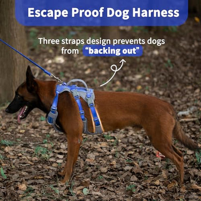 Huntboo Reflective Dog Harness with Handle, Escape Proof, No Slip, Breathable, Lightweight, Adjustable Lift Harness for Small, Medium, and Large Dogs Walking, Training, and Running Gear(Sea Blue,M) - color: Sea Blue, size: Medium (Pack of 1)