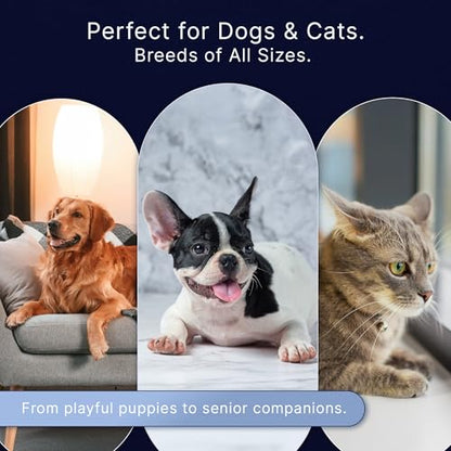 Professional Dog Nail Clippers for Large Dog - to Small Dog Clippers & Cat with Safety Guard & Ergonomic Easy Grip, Dog Nail Clippers/Dog Nail Trimmer and Cat Nail Clipper for Safe Grooming
