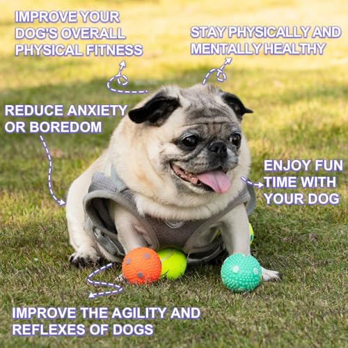 Dog Toy Balls for Small Dogs & Puppies, Chew & Chase Interactive 2” Soft Latex Balls, Durable Dogs Play Balls for Indoor/Outdoor (9 Pcs)