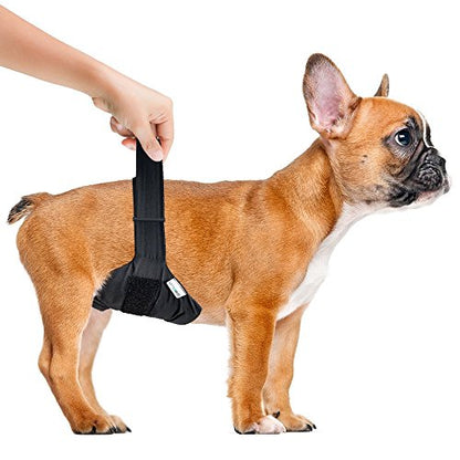 Vet's Best Washable Male Dog Diapers | Absorbent Male Wraps with Leak Protection | Excitable Urination, Incontinence, or Male Marking | Small/Medium | 1 Reusable Dog Diaper Per Pack - size: S/M