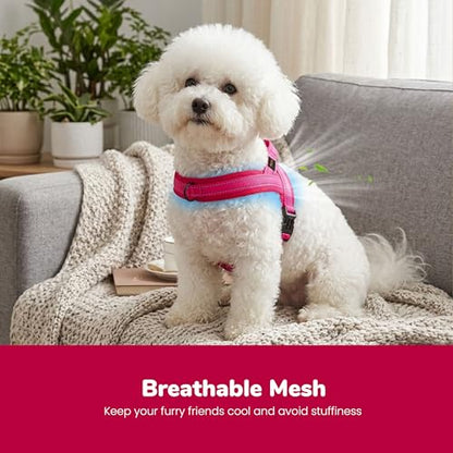 Didog No Pull Dog Harness with Breathable Mesh Padded,Reflective & Quick Fit Light Weight Dog Strap Vest Harness,Easy for Walking Training (XS:Chest 15-18", Mesh-Hot Pink) - color: Hot Pink, size: XS: Chest 15-18", Fit 9-18 lbs