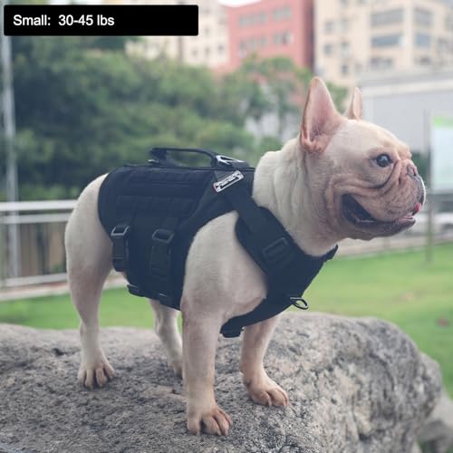 ICEFANG GN3 Tactical Dog Harness with 6X Buckle,Dog Molle Vest with Handle,3/4 Body Coverage,Hook and Loop Panel for ID Patch,No Pulling Front Clip (S (22"-27" Girth), Black) - color: Black, size: Small (Pack of 1)