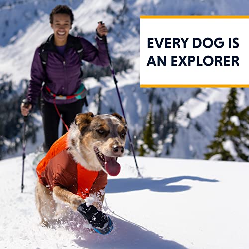 Ruffwear, Powder Hound Dog Winter Jacket, Insulated Softshell Coat with StormSleeve Stretch, Weather-Resistant Shell, Reflective Trim & Light Loop, Cold-Weather Adventures, Blue Pool, XX-Small - color: Blue Pool, size: XX-Small