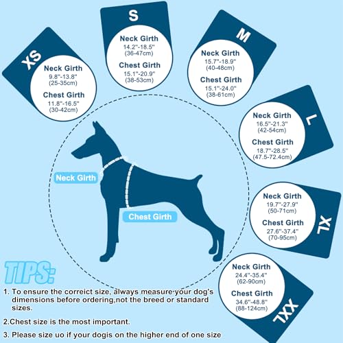 EMUST Dog Life Vests, Adjustable XS Dog Life Jacket with Rescue Handle, Puppy Flotation Vest for Small/Medium/Large Dogs, XS, FlagStar - color: FlagStar, size: XS