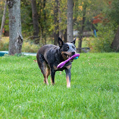 Chew King Premium Treat Dog Toy, Durable Natural Rubber Collection, Fetch and Tug Dog Toy, Dog Treat Toys for Boredum - color: Throw Stick with 2 Balls
