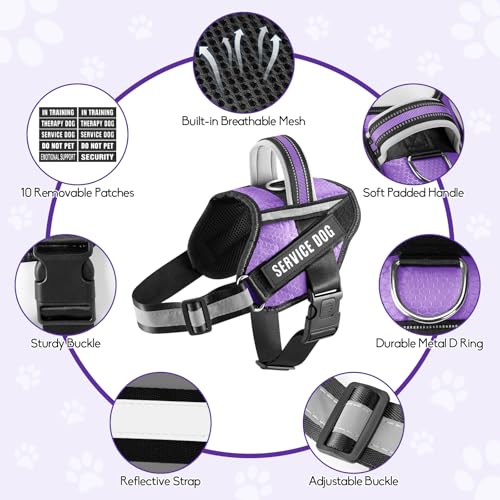 Service Dog Vest Harness and Leash Set, Animire in Training Dog Harness with 10 Dog Patches, Reflective Dog Leash with Soft Padded Handle for Small, Medium, Large, and Extra-Large Dogs - color: Purple, size: XXS