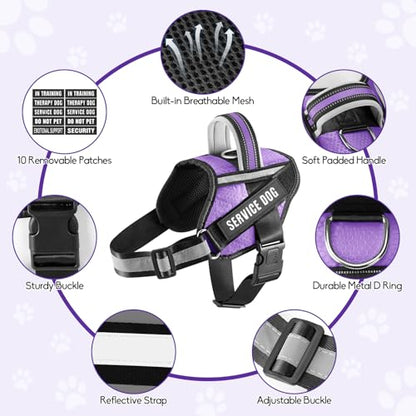 Service Dog Harness and Leash Set, XS, Purple, with 10 Patches, Reflective, for Small Dogs - color: Purple, size: XS